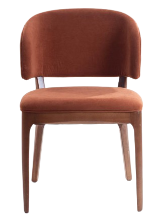 Captura_de_tela_2025-05-14_144813-removebg-preview