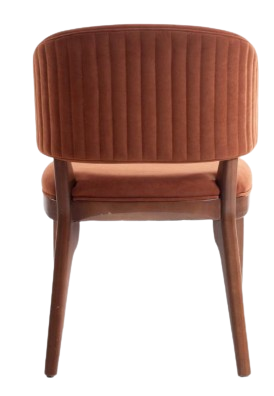 Captura_de_tela_2025-05-14_144820-removebg-preview