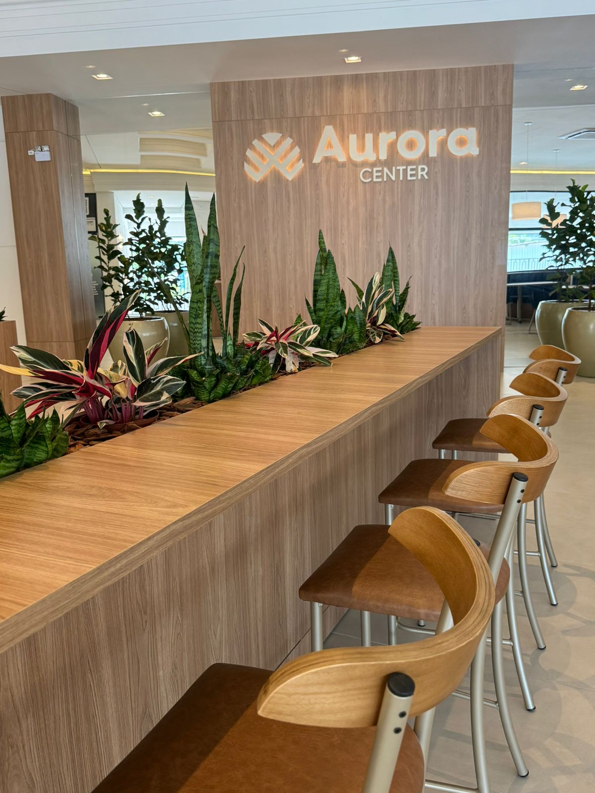 Aurora Center