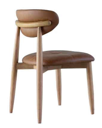 Captura_de_tela_2025-05-14_144238-removebg-preview