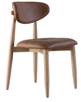 Captura_de_tela_2025-05-14_144253-removebg-preview